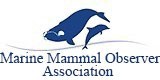 A_MMOA