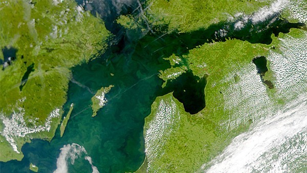 N_Baltic-sea